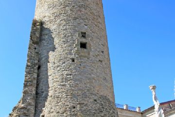 Torre di Guinigi (Foto di Alessandro Vecchi - 2017)