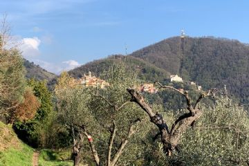 Veduta Ortonovo