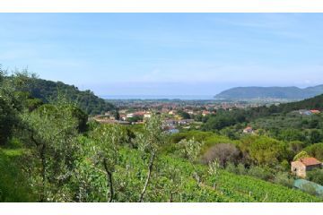 Veduta dal giardino 
