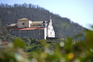 Sfoglia la galleria