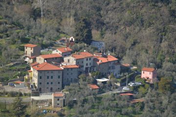 Sfoglia la galleria