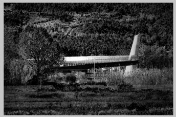 Melchiorre Gambaro Circolo La Torre Arcola