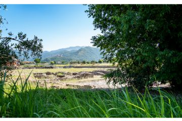Melchiorre Gambaro Circolo La Torre Arcola