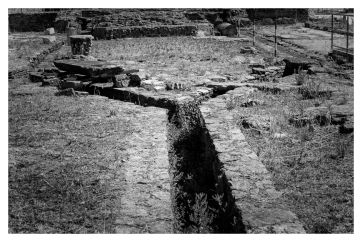 Melchiorre Gambaro Circolo La Torre Arcola