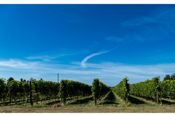 Melchiorre Gambaro Circolo La Torre Arcola