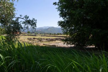 Rossella Priori Circolo La Torre Arcola