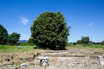 Rossella Priori Circolo La Torre Arcola