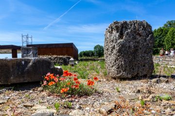 Rossella Priori Circolo La Torre Arcola