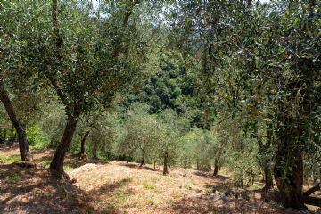 Rossella Priori Circolo La Torre Arcola