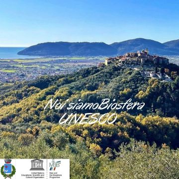 Sfoglia la galleria